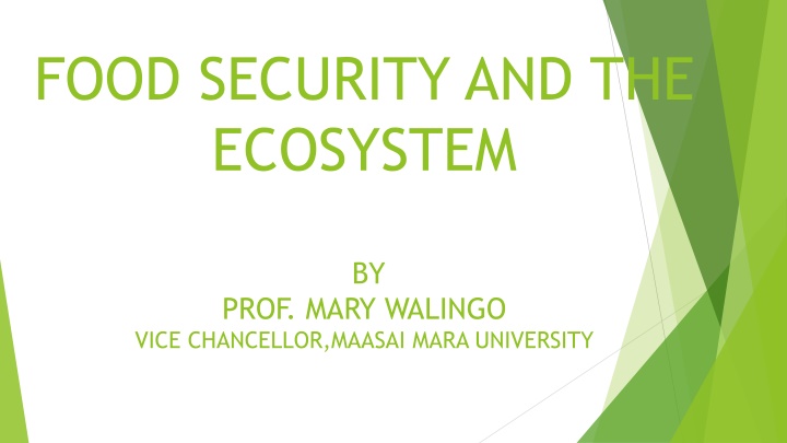 food security and the ecosystem