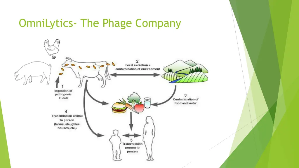 omnilytics the phage company 8