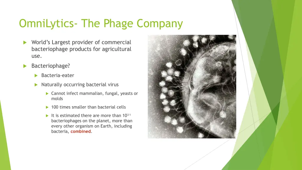 omnilytics the phage company