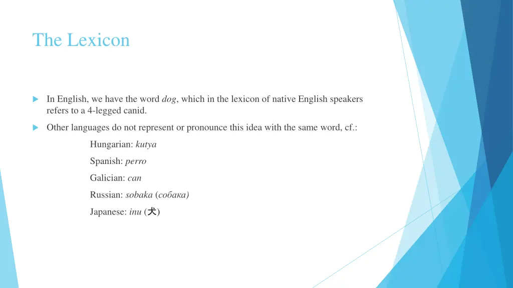 the lexicon