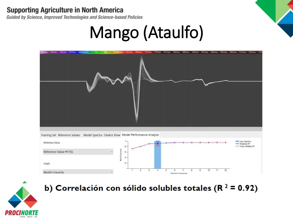 mango mango ataulfo 1