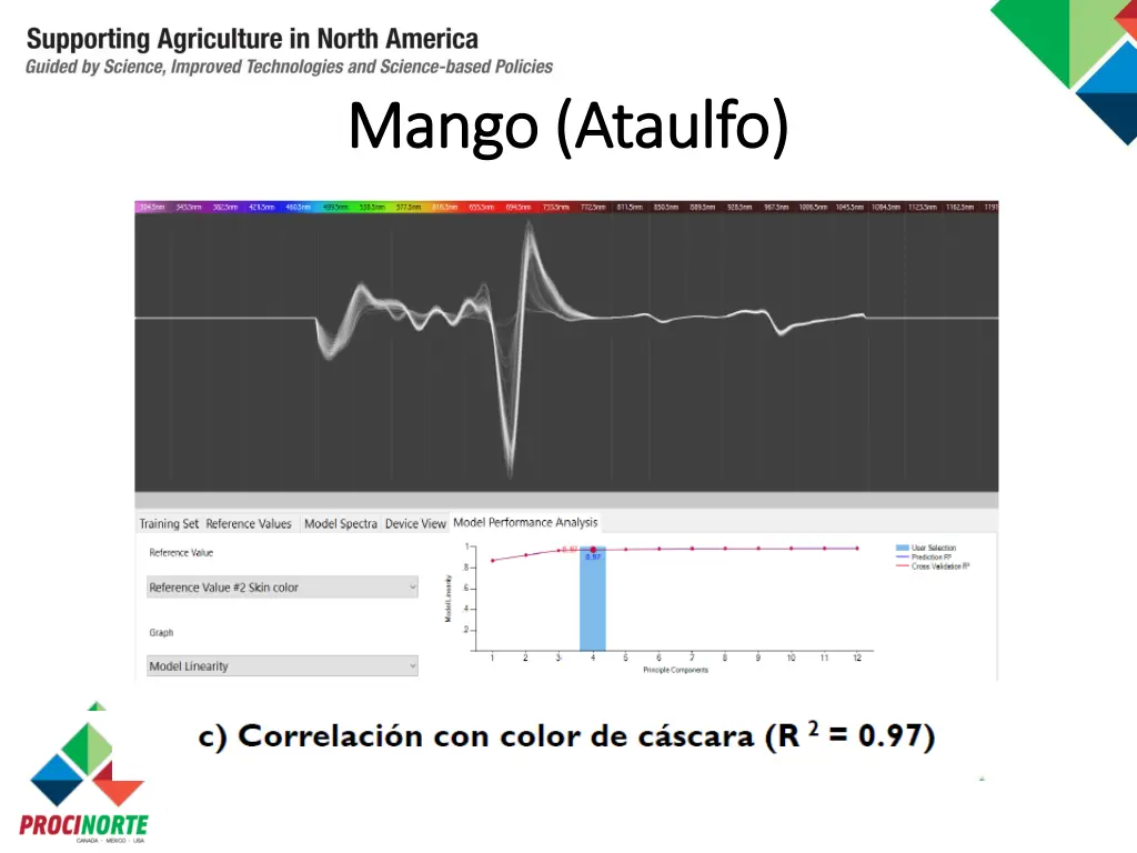 mango mango ataulfo 2