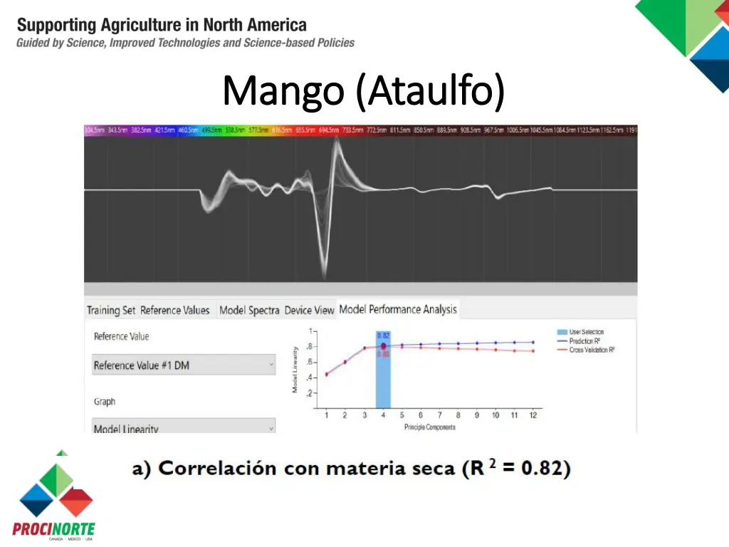 mango mango ataulfo
