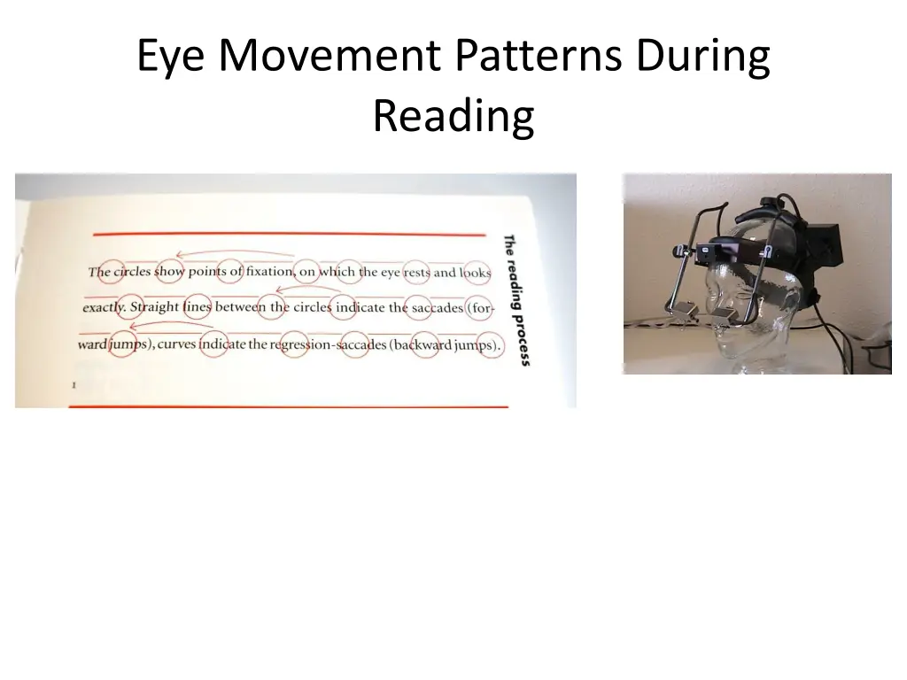 eye movement patterns during reading