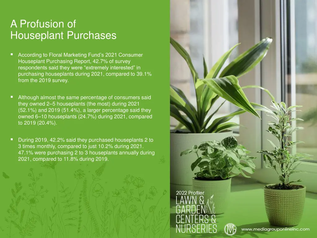 a profusion of houseplant purchases