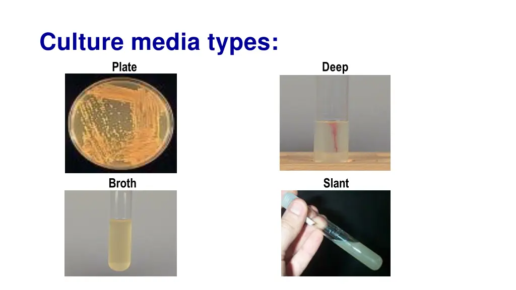 culture media types plate