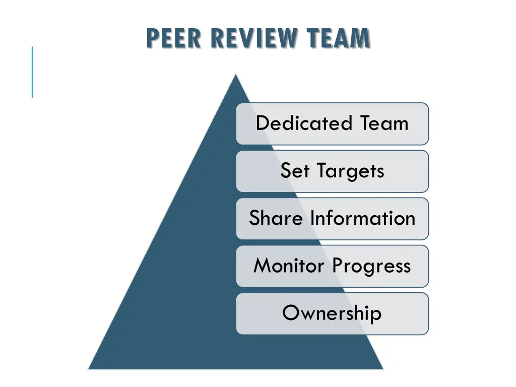 peer review team