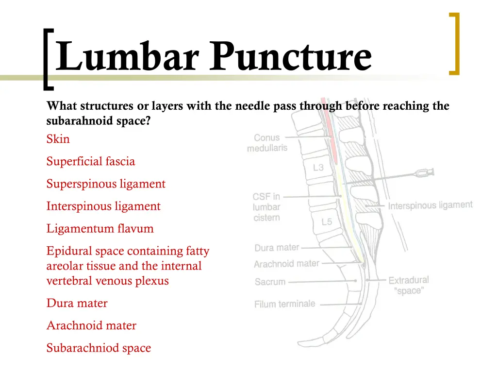 lumbar puncture