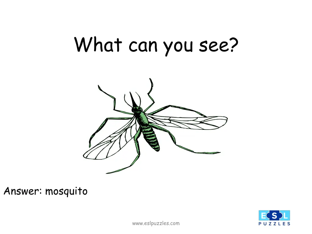 what can you see 1