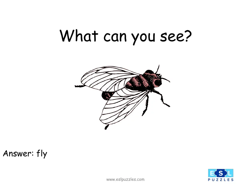 what can you see 2