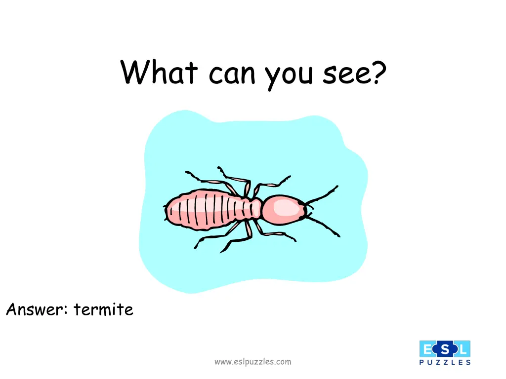 what can you see 6