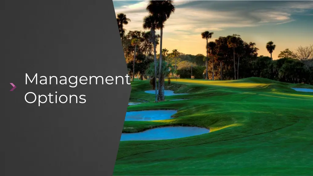management options