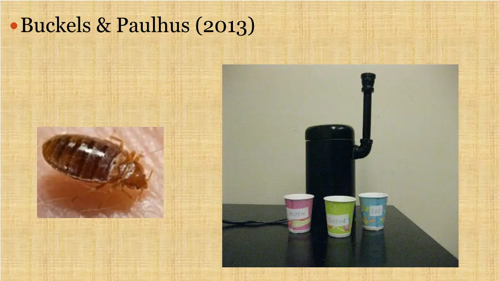 buckels paulhus 2013