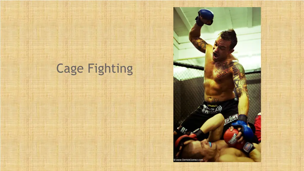 cage fighting