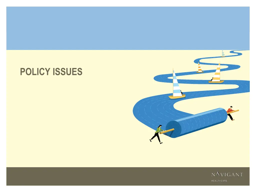 policy issues