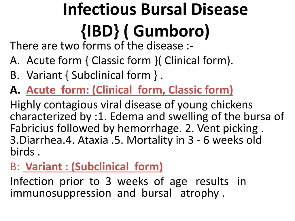 infectious bursal disease ibd gumboro there