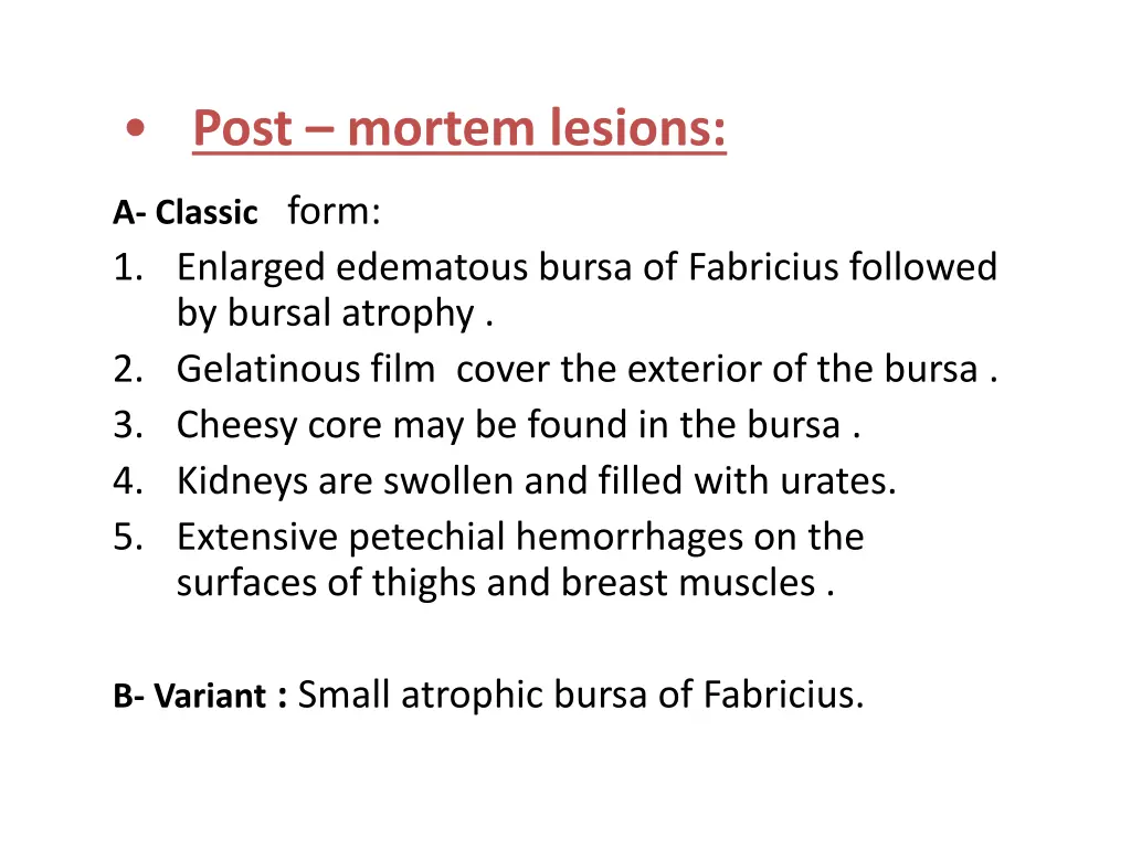 post mortem lesions