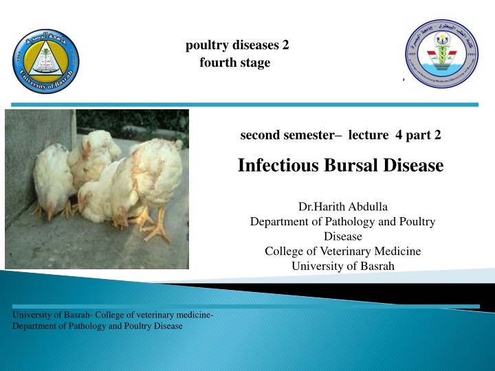 poultry diseases 2 fourth stage