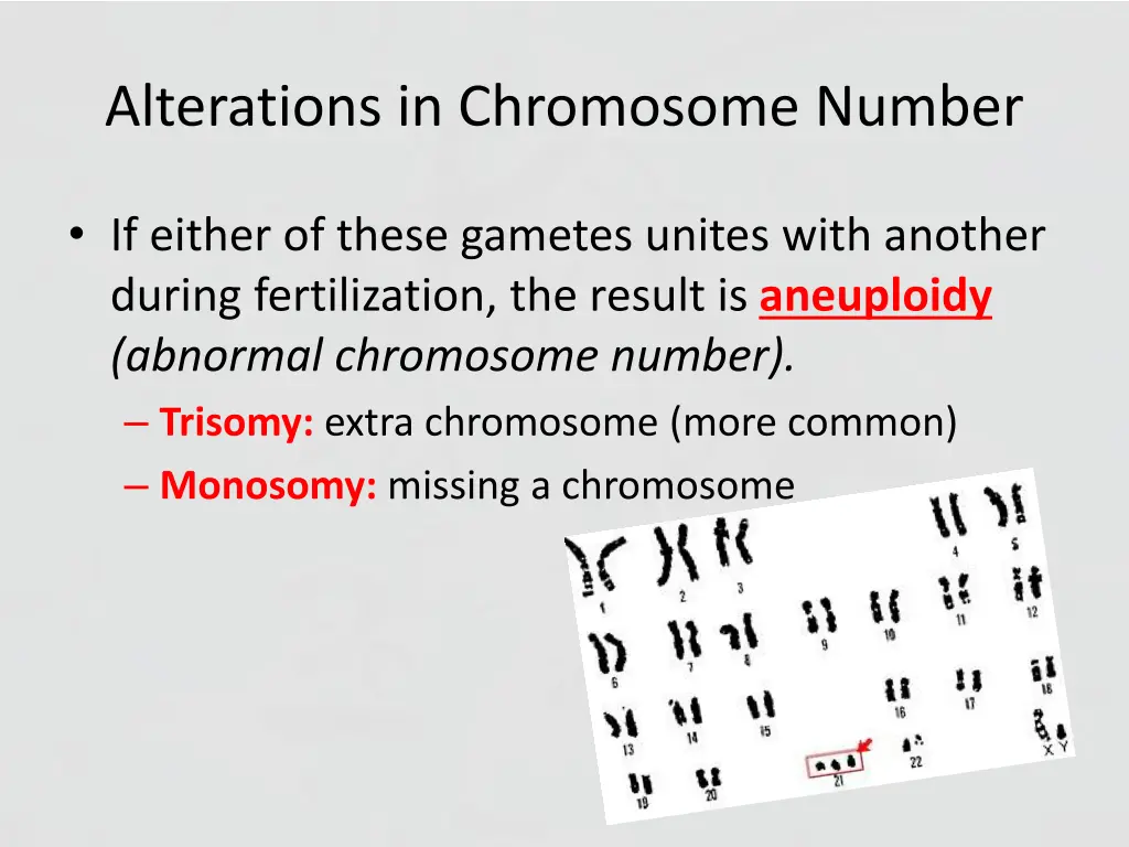 alterations in chromosome number 2