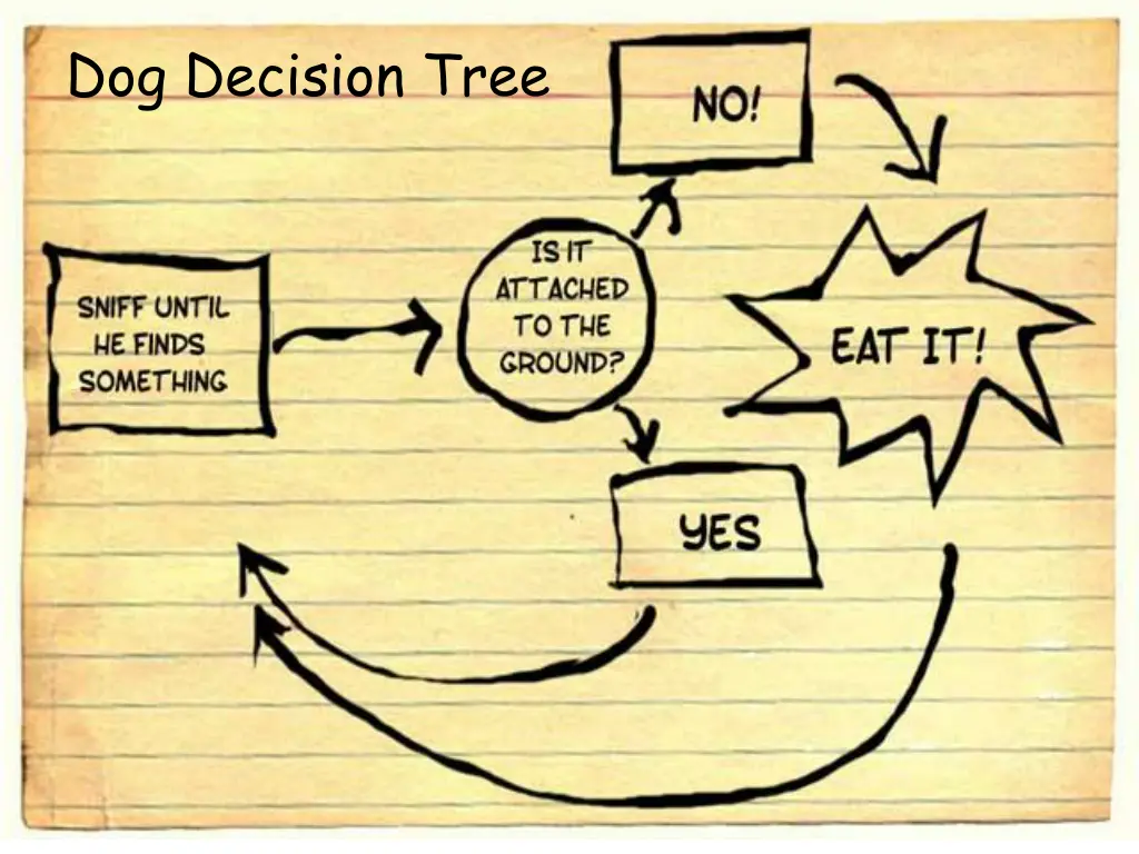 dog decision tree