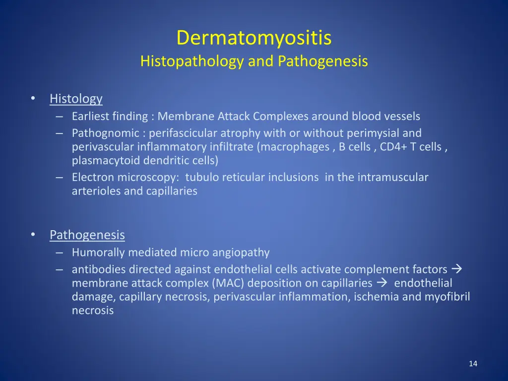 dermatomyositis histopathology and pathogenesis