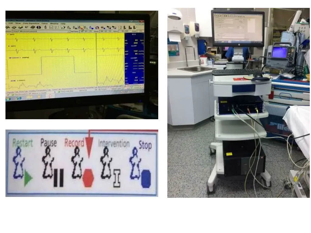 slide19