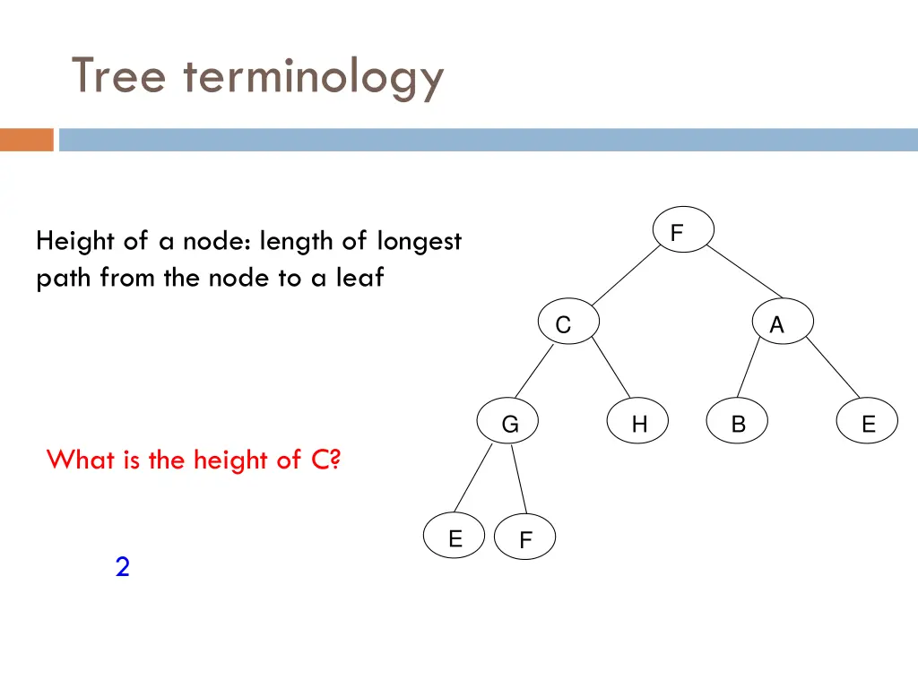 tree terminology 10