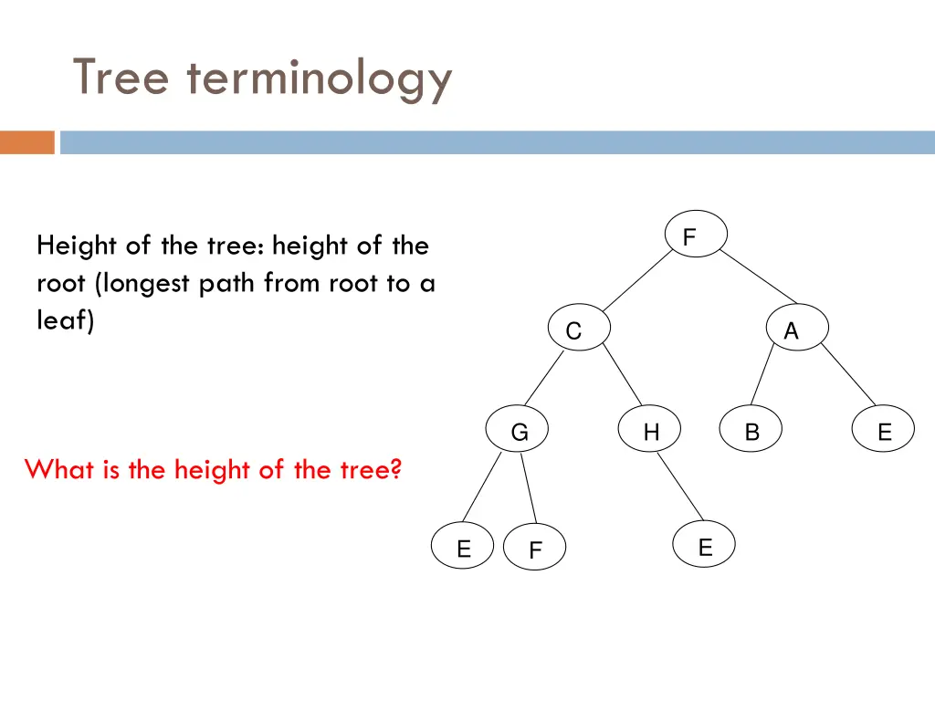 tree terminology 11