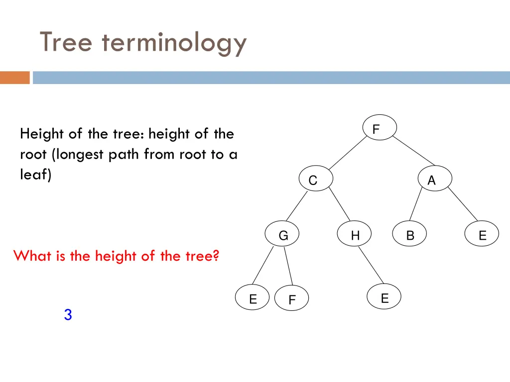 tree terminology 12