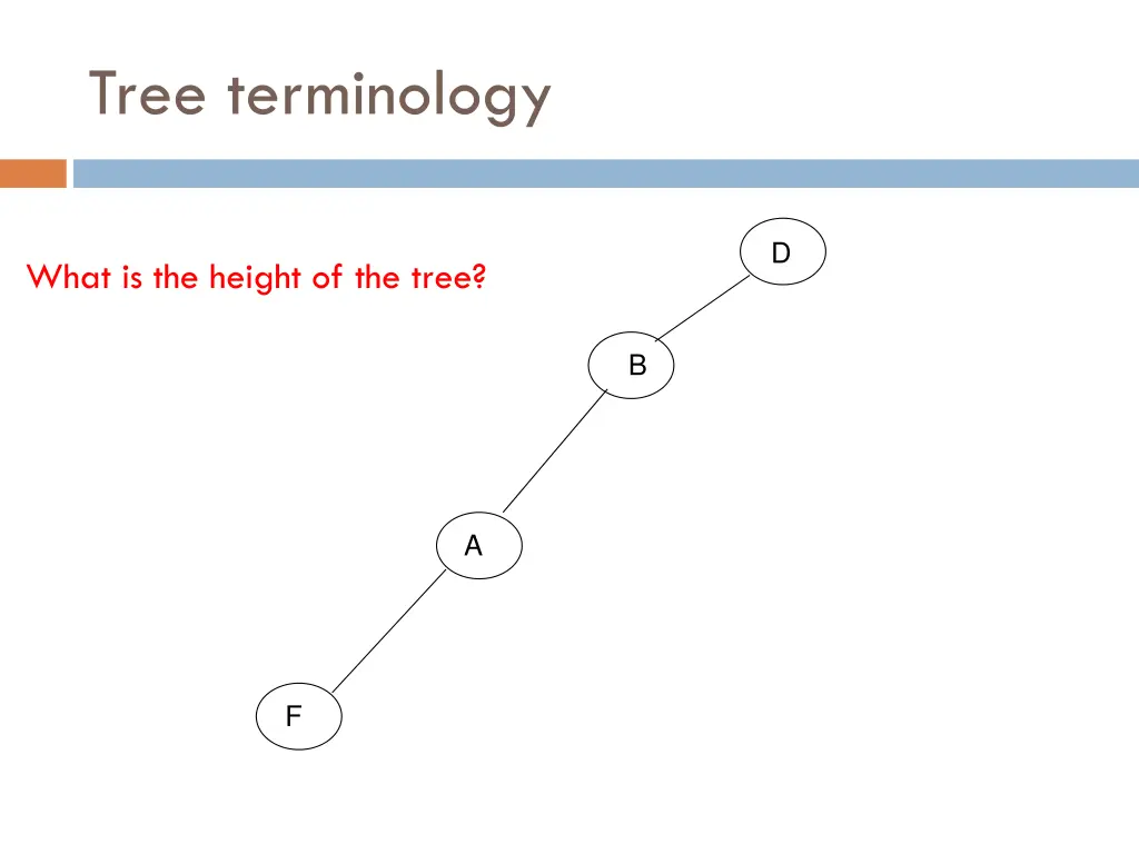 tree terminology 13