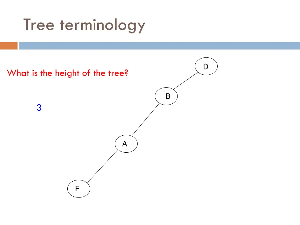 tree terminology 14