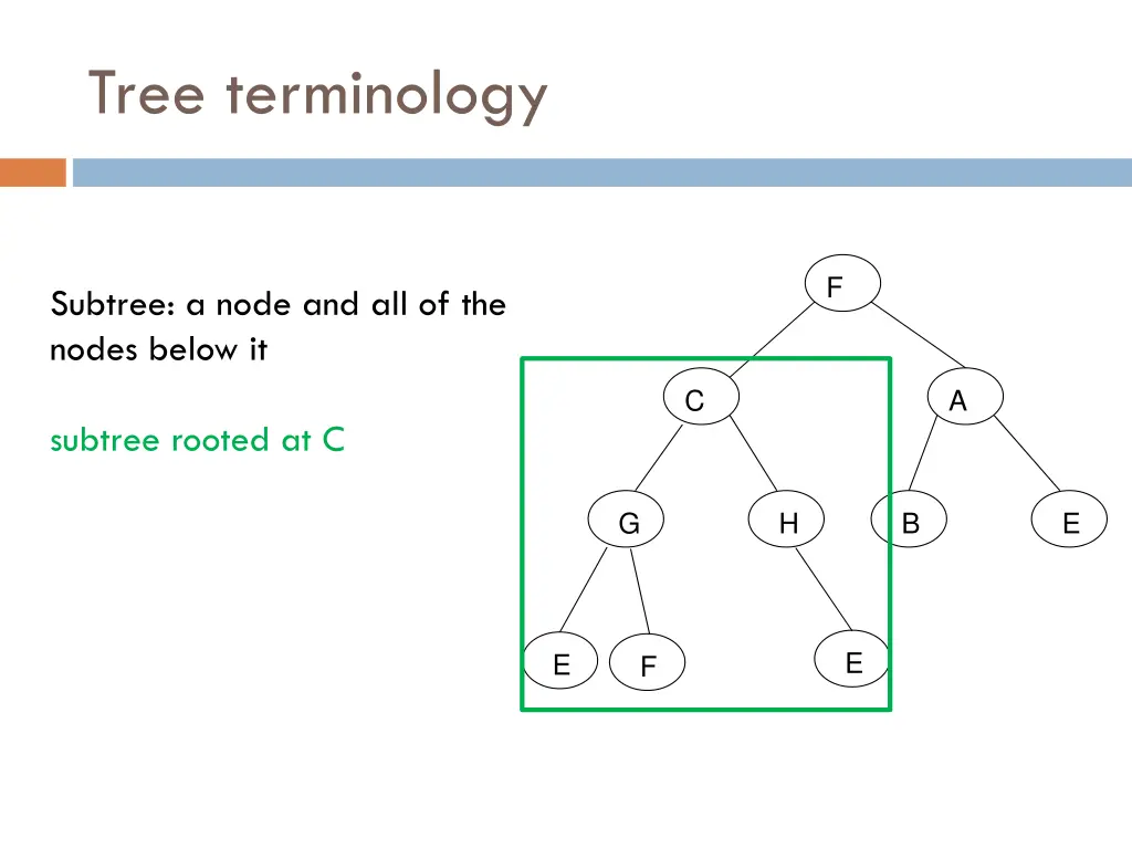 tree terminology 2