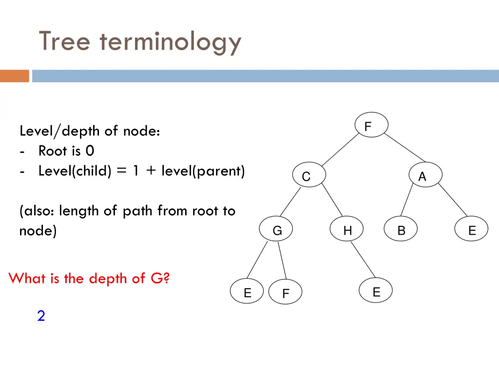 tree terminology 20