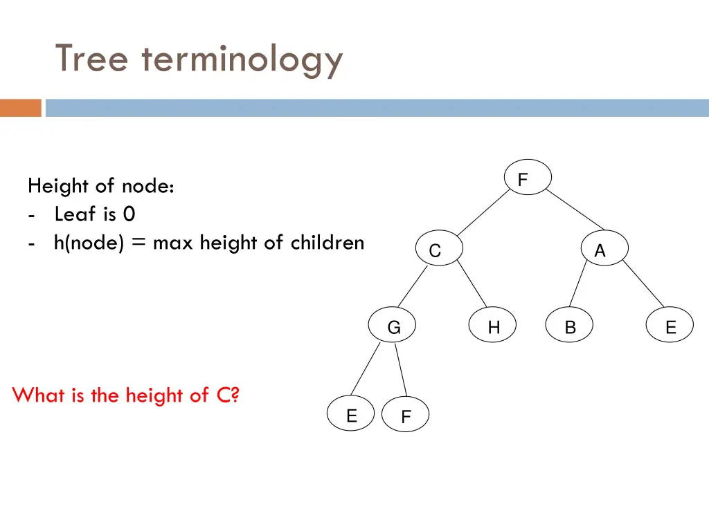 tree terminology 21