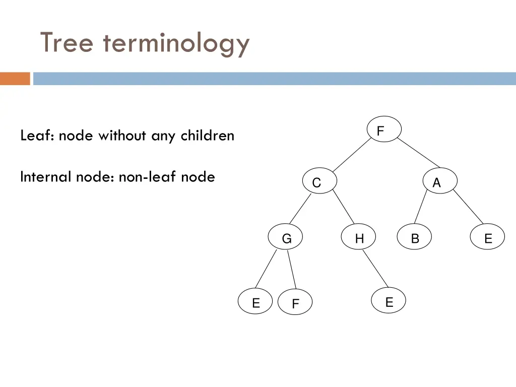 tree terminology 3
