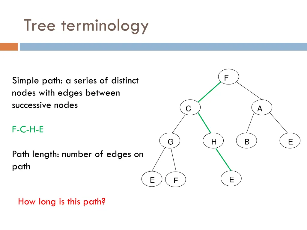 tree terminology 5