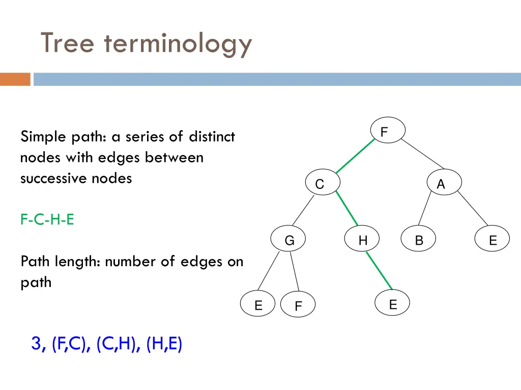 tree terminology 6