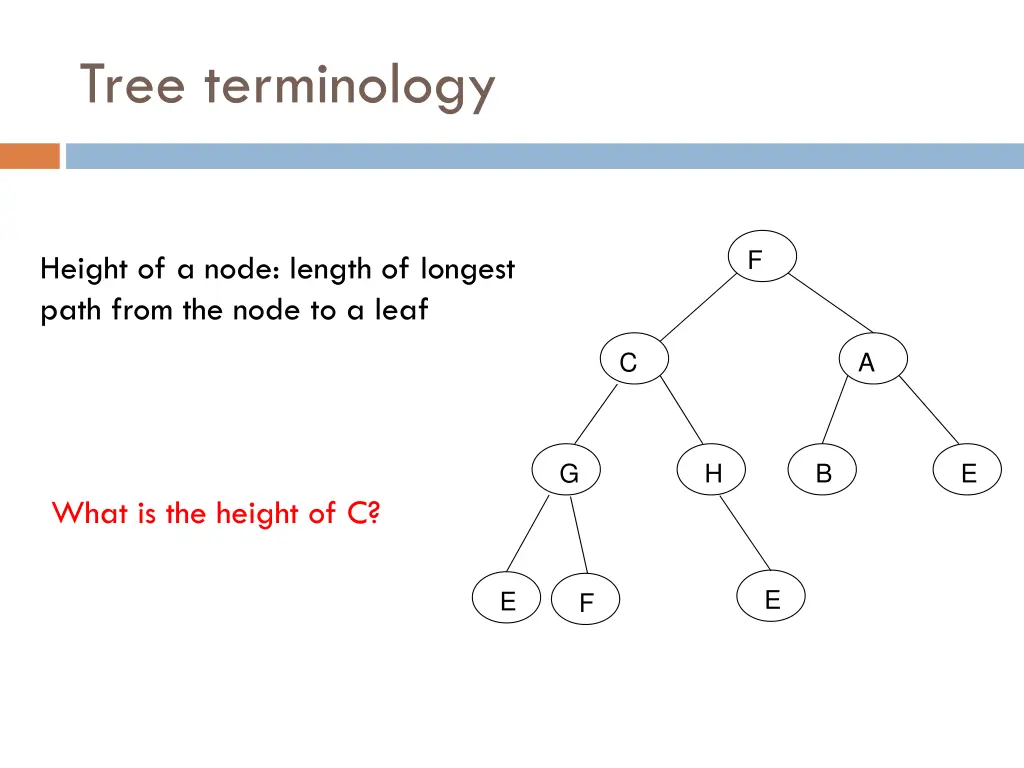 tree terminology 7