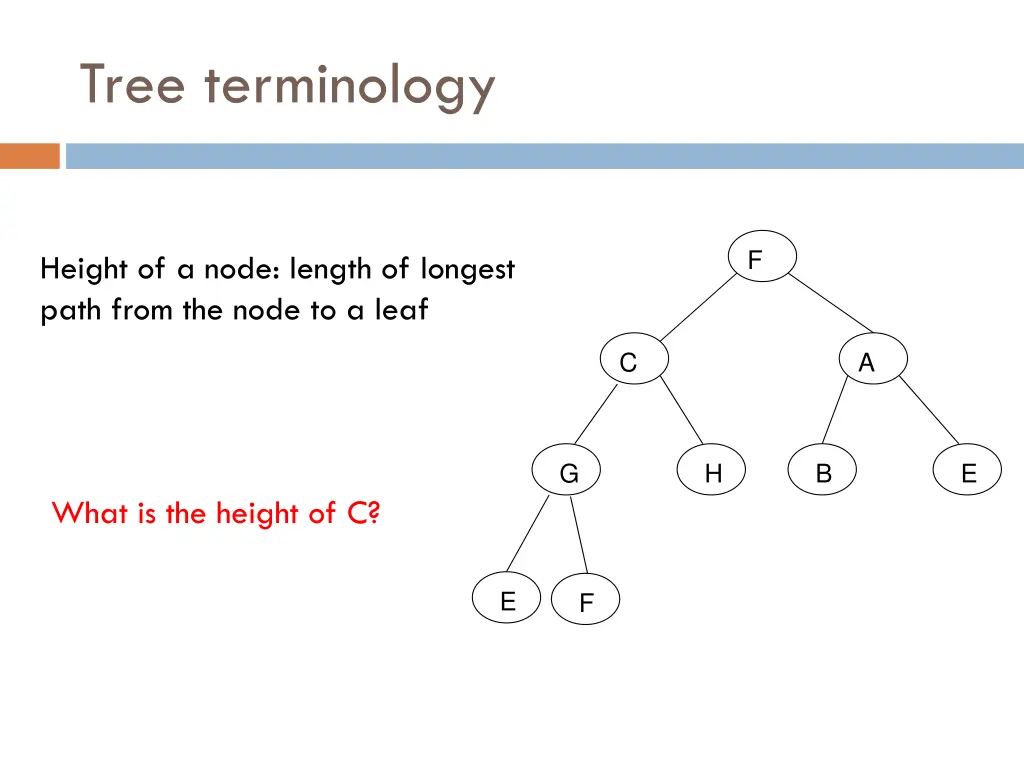 tree terminology 9