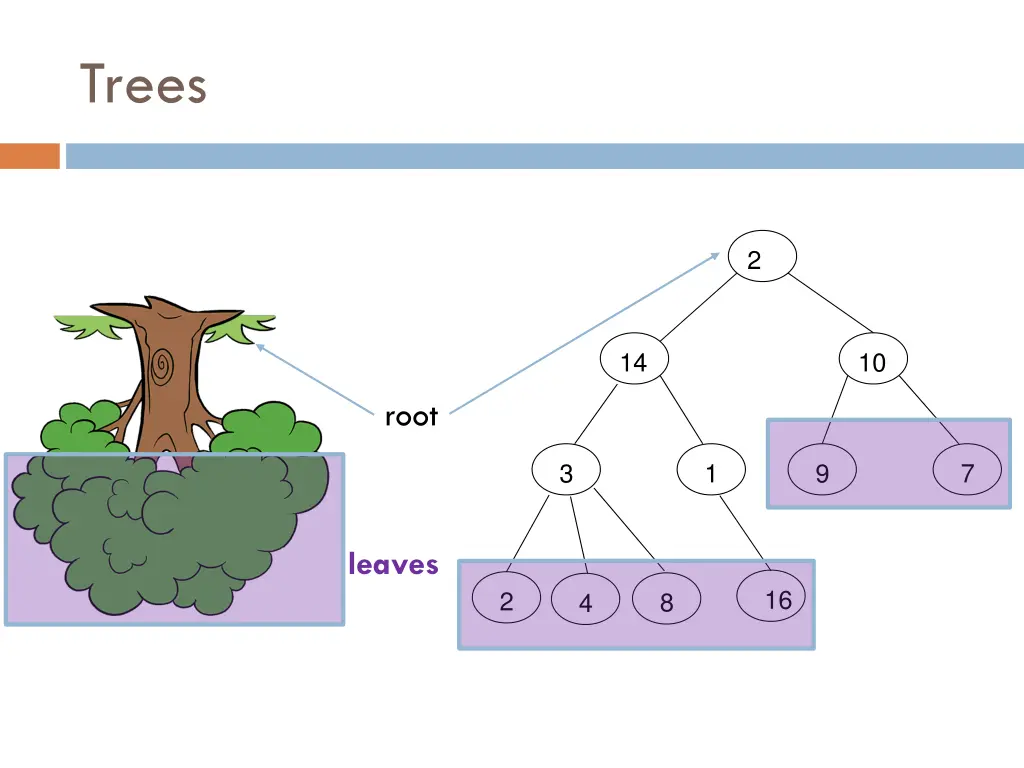 trees