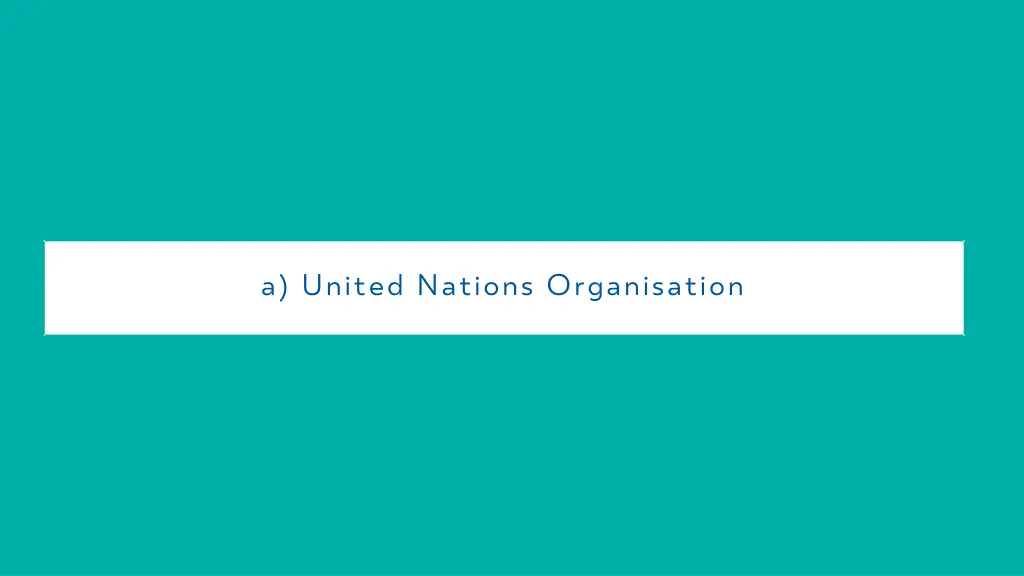 a united nations organisation