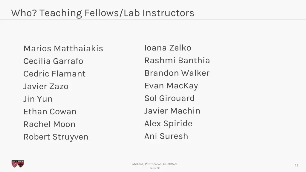 who teaching fellows lab instructors