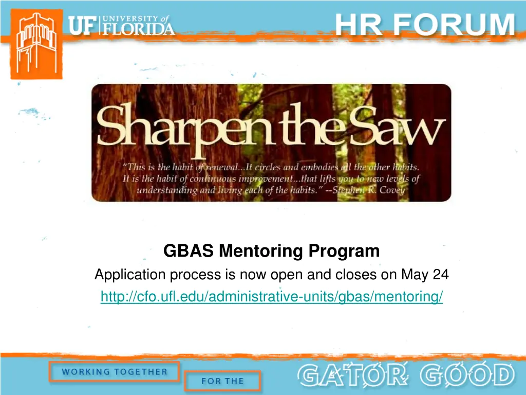 gbas mentoring program application process