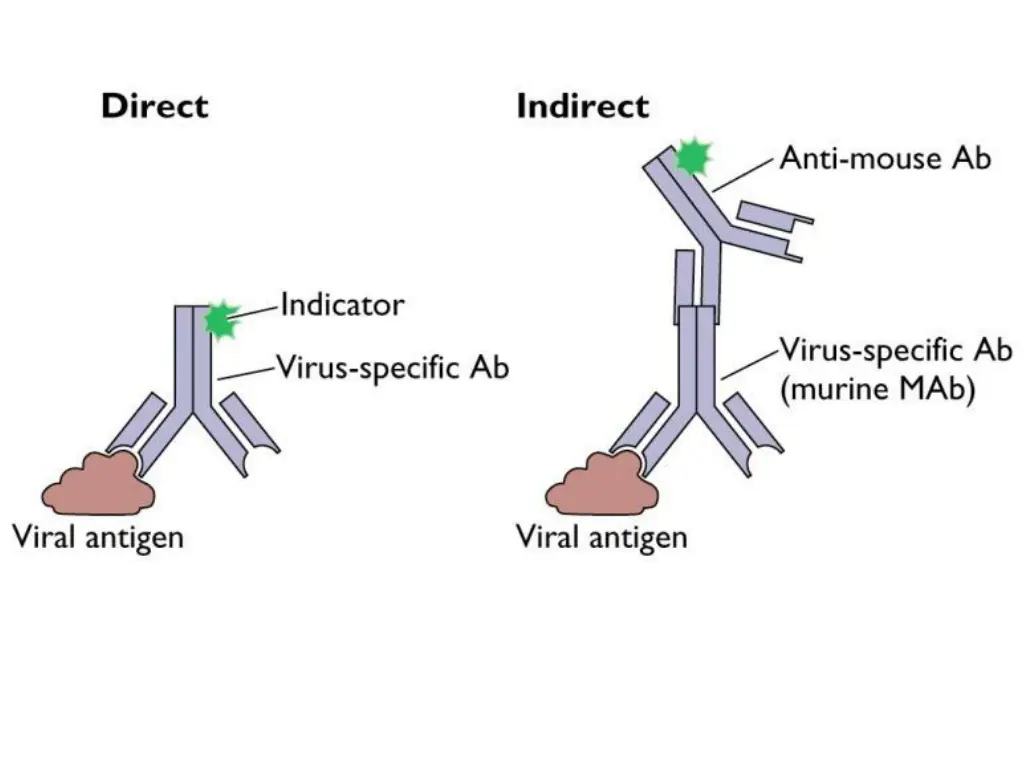 slide11