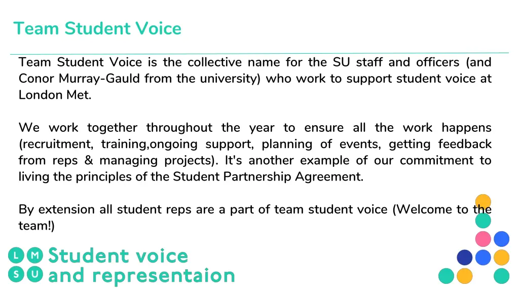 team student voice