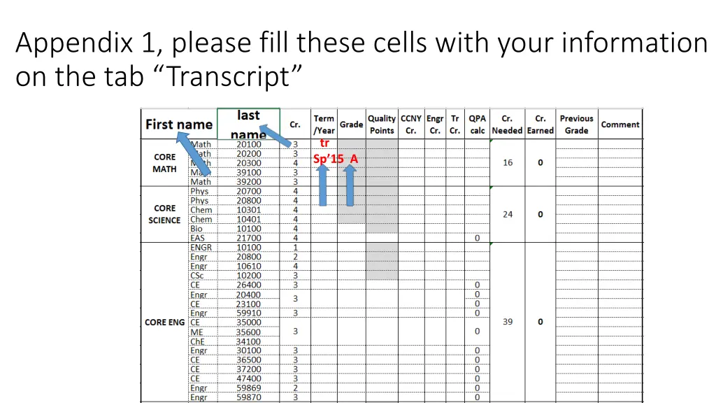appendix 1 please fill these cells with your