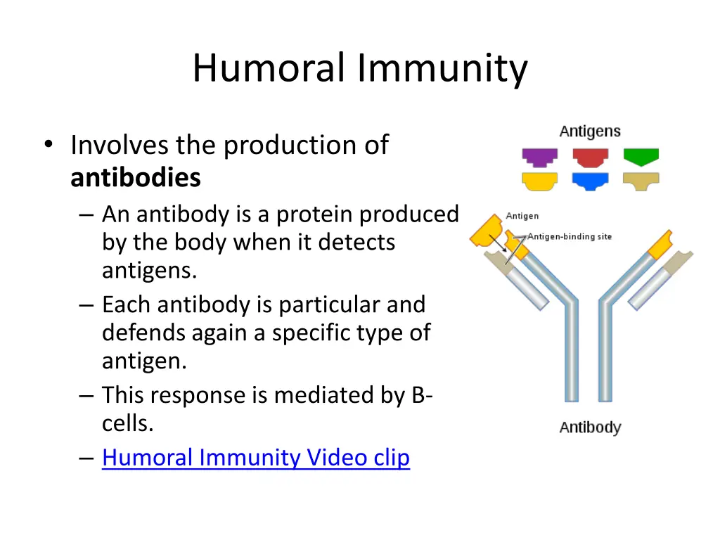 humoral immunity