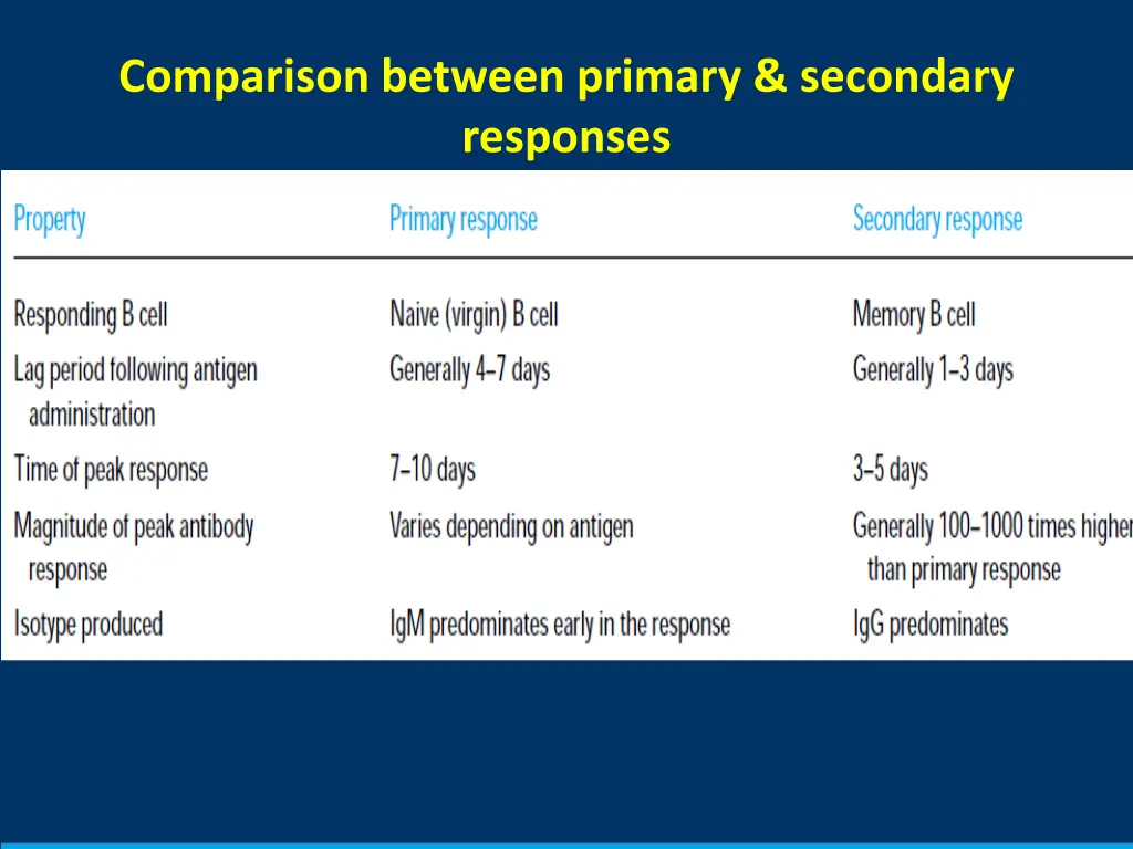 comparison between primary secondary responses