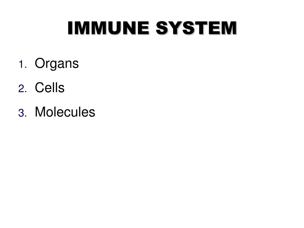 immune system