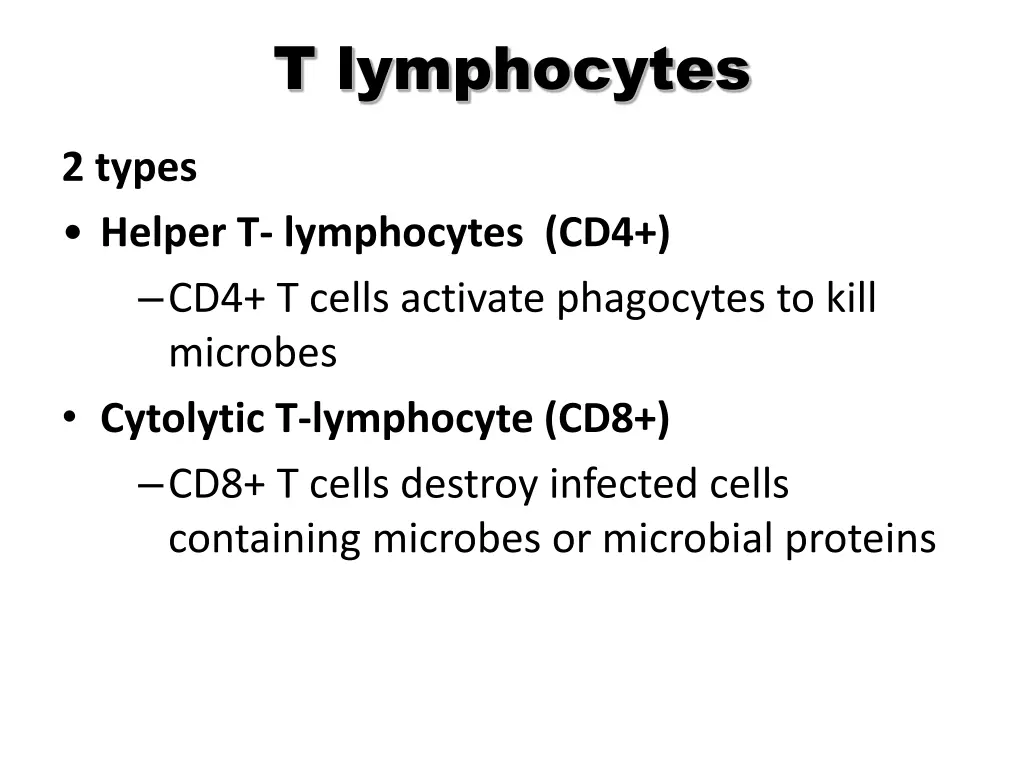 t lymphocytes